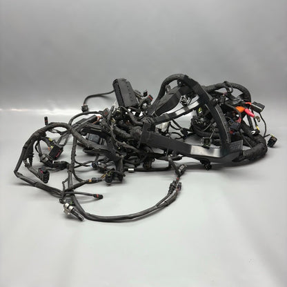 BMW S1000R MAIN ENGINE HARNESS 2020 2021 2022 2023 2024 2025 OEM