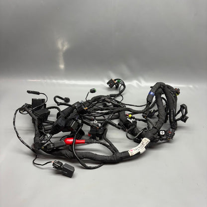 G310 R BMW G 310R MAIN ENGINE HARNESS 2019 2020 2021 2022 2023 2024 2025 OEM