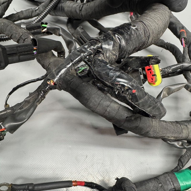 G310 R BMW G310 R MAIN ENGINE HARNESS 2016 2017 2018 2019 2020 OEM