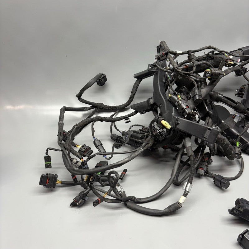 BMW S1000R MAIN ENGINE HARNESS 2020 2021 2022 2023 2024 2025 OEM