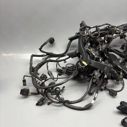 BMW S1000R MAIN ENGINE HARNESS 2020 2021 2022 2023 2024 2025 OEM