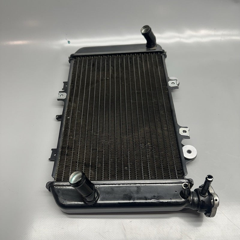 G310GS BMW G310GS RADIATOR 2018 2019 OEM