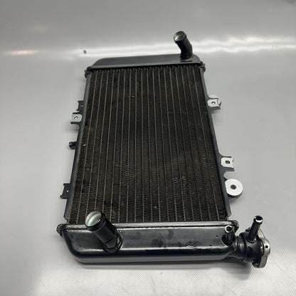 G310GS BMW G310GS RADIATOR 2018 2019 OEM