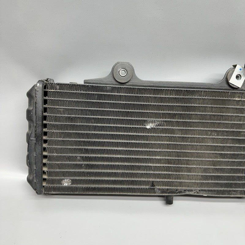 7661912 BMW G650GS SERTAO RADIATOR 2010 2011 2012 2013 2014 OEM 7661912