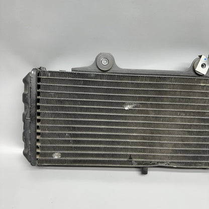 7661912 BMW G650GS SERTAO RADIATOR 2010 2011 2012 2013 2014 OEM 7661912