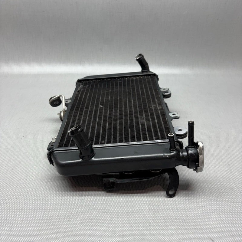 BMW G310R RADIATOR 2017 2018 OEM