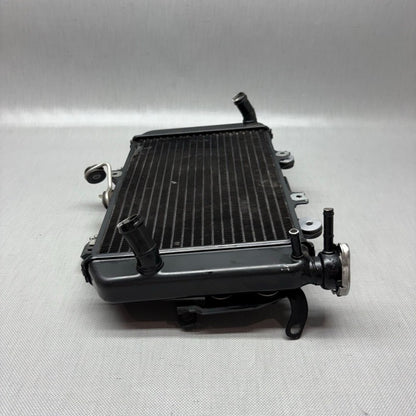BMW G310R RADIATOR 2017 2018 OEM