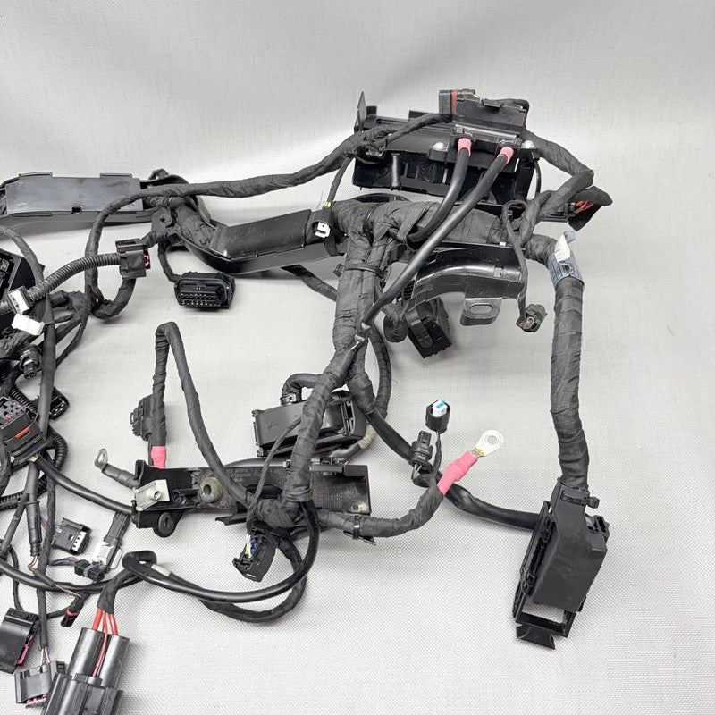 BMW R1250GS MAIN WIRING HARNESS 2018 2019 2020 2021 2022 2023 OEM 9480