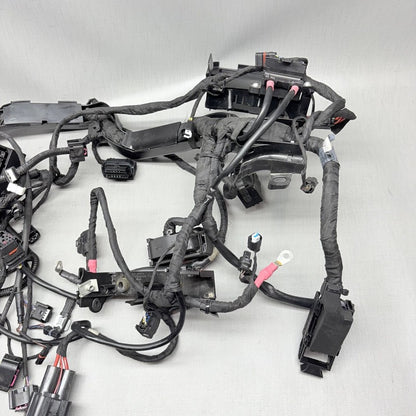 BMW R1250GS MAIN WIRING HARNESS 2018 2019 2020 2021 2022 2023 OEM 9480