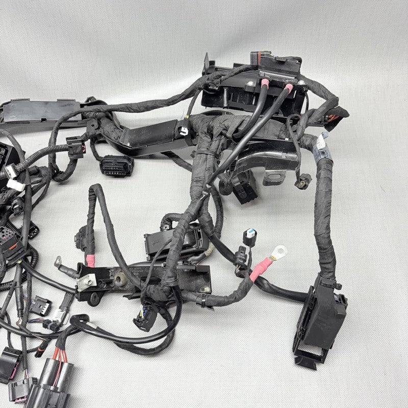 9480782 BMW R1250 GS MAIN WIRING HARNESS 2018 2019 2020 OEM 9480782