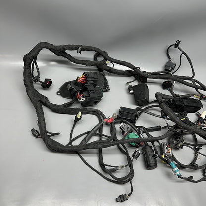 C 650 EVOLUTION BMW C 650 EVOLUTION MAIN WIRING HARNESS 2015 2016 2017 2018 OEM