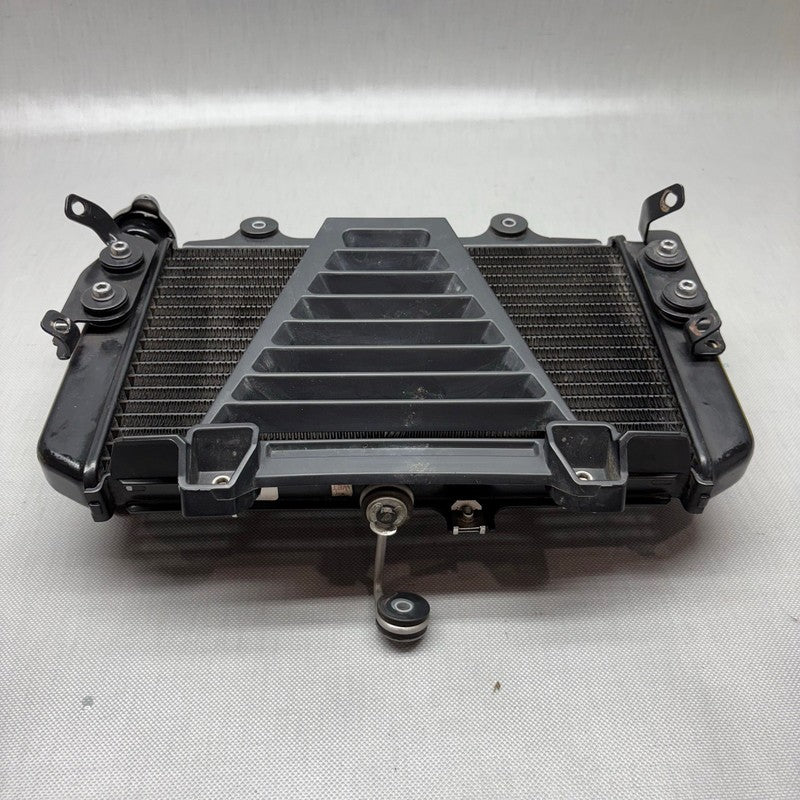 BMW G310R RADIATOR 2017 2018 OEM