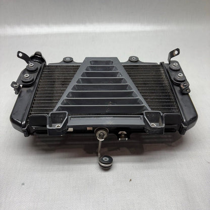 BMW G310R RADIATOR 2017 2018 OEM