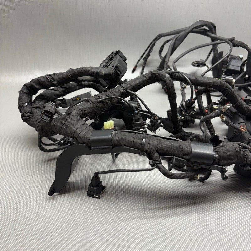 BMW S1000RR MAIN ENGINE WIRING HARNESS 2019 2020 2021 2022 2023 2024 O