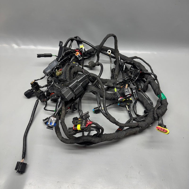 G310 R BMW G310 R MAIN ENGINE HARNESS 2016 2017 2018 2019 2020 OEM