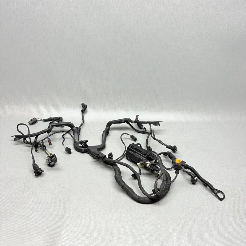 BMW R1250GS ENGINE WIRING HARNESS 2017 2018 2019 2020 2021 2022 2023 O