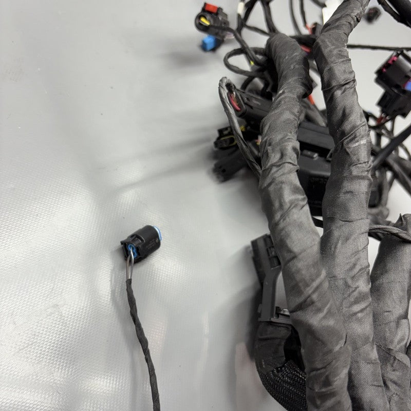 R1300GSA BMW R1300GS ADVENTURE MAIN WIRE HARNESS 2023 2024 2025 OEM 