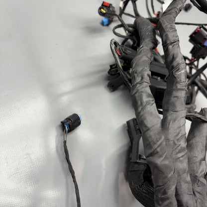 R1300GSA BMW R1300GS ADVENTURE MAIN WIRE HARNESS 2023 2024 2025 OEM 