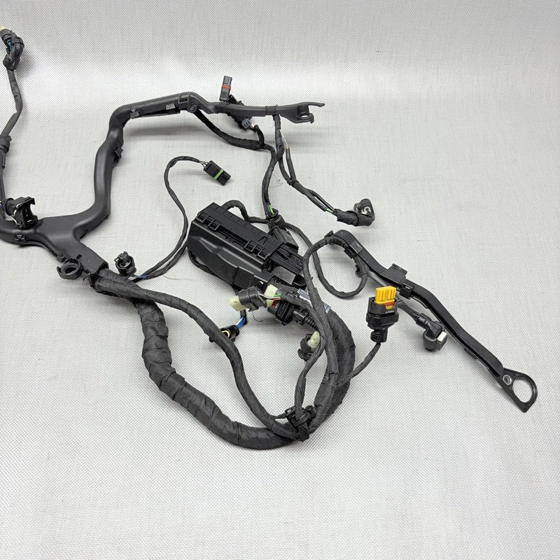 BMW R1250GS ENGINE WIRING HARNESS 2017 2018 2019 2020 2021 2022 2023 O