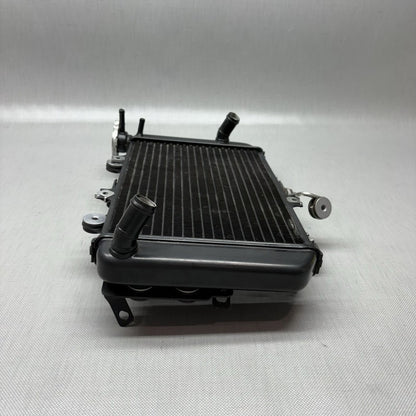 G310R BMW G310R RADIATOR 2017 2018 OEM 