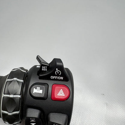 R12 NINE T BMW R12 NINE T HANDLE GRIP WITH SWITCH 2022 2023 2024 2025 OEM