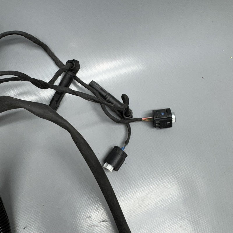 1692821 BMW F900R MAIN ENGINE HARNESS 2020 2021 2022 2023 2024 OEM 1692821