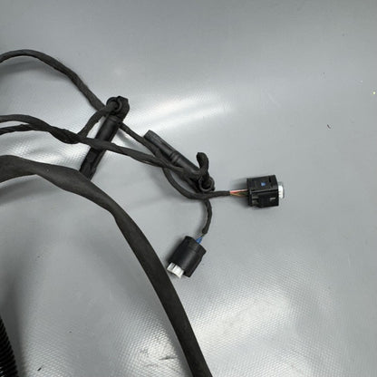 1692821 BMW F900R MAIN ENGINE HARNESS 2020 2021 2022 2023 2024 OEM 1692821