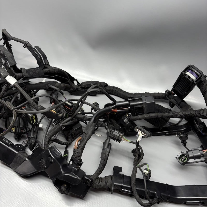 7105048 BMW M1000R MAIN WIRING HARNESS 2021 2022 2023 2024 OEM 7105048
