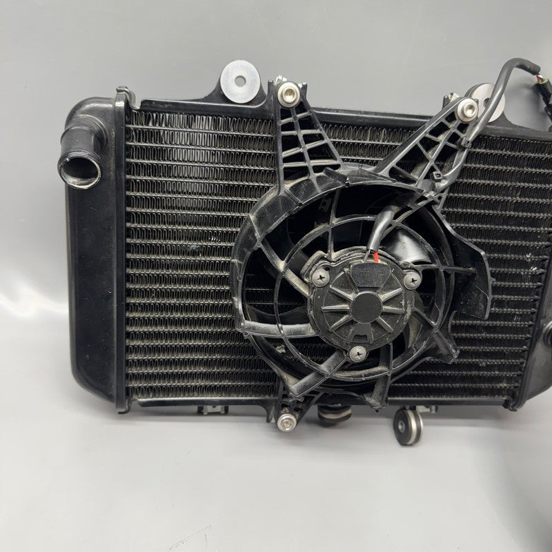 8558350 BMW G310 R RADIATOR 2016 2017 2018 2019 2020 OEM 8558350