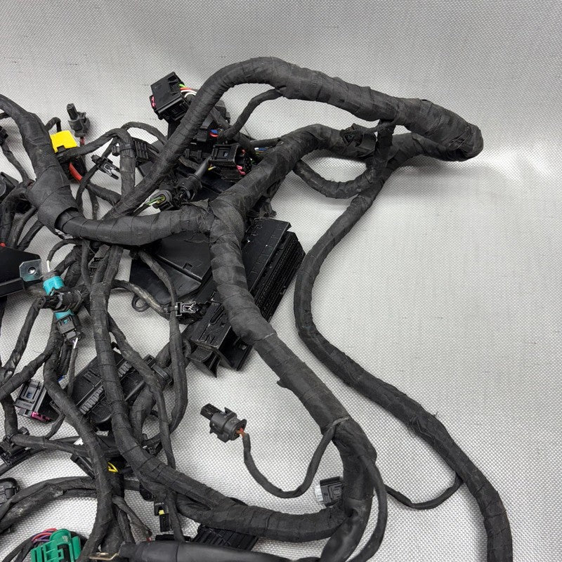 BMW C 650 EVOLUTION MAIN WIRING HARNESS 2015 2016 2017 2018 OEM