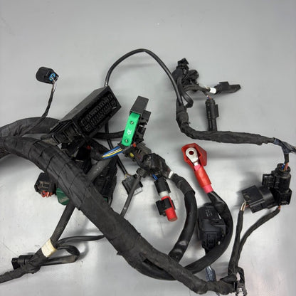 8545376 BMW S1000XR MAIN ENGINE HARNESS 2014 2015 2016 2017 2018 2019 OEM 8545376