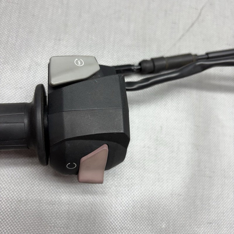G 310R BMW G 310R HANDLE GRIP WITH SWITCH RIGHT 2016 2017 2018 2019 2020 OEM