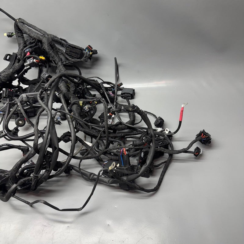 8555757 BMW R1250RT MAIN ENGINE HARNESS 2013-2017 2018 2019 2020 2021 2022 2023 2024 OEM