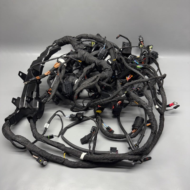 R18 TRANSCONTINENTAL BMW R18 TRANSCONTINENTAL MAIN ENGINE HARNESS 2020 2021 2022 2023 2024 2025 OEM