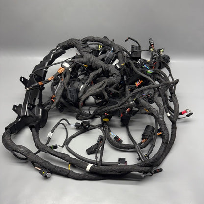 R18 TRANSCONTINENTAL BMW R18 TRANSCONTINENTAL MAIN ENGINE HARNESS 2020 2021 2022 2023 2024 2025 OEM