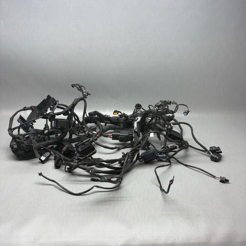 BMW S1000RR MAIN ENGINE WIRING HARNESS 2019 2020 2021 2022 2023 2024 O