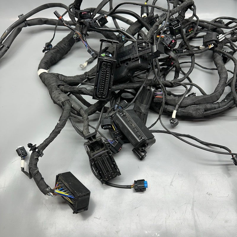 8354784 BMW K1600GTL MAIN ENGINE HARNESS 2015 2016 2017 2018 2019 2020 2021 OEM 8354784