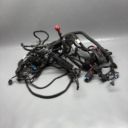 R12 NINE T BMW R12 NINE T MAIN ENGINE HARNESS 2022 2023 2024 2025 OEM