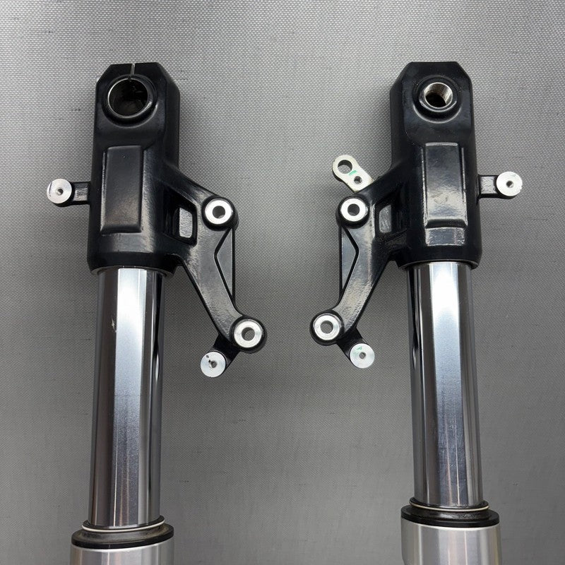 BMW C 650 EVOLUTION FORK LEGS LEFT RIGHT 2015 2016 2017 2018 OEM