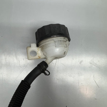G310GS BMW G310GS BRAKE PEDAL AND MASTER CYLINDER 2016 2017 2018 2019 2020 OEM