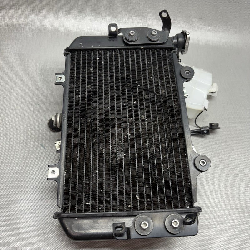 8555494 BMW G 310R RADIATOR WITH FAN 2016 2017 2018 2019 2020 OEM 8555494