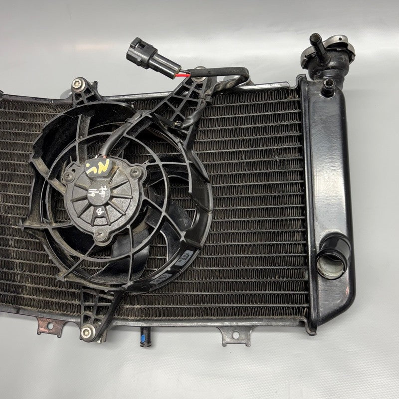 BMW G310GS RADIATOR WITH FAN 2016-2018 2019 2020 2021 2022 2023 2024 2