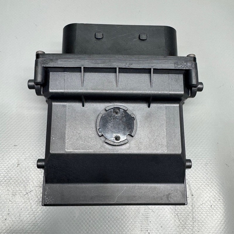 BMW S1000 R CONTROL UNIT ESA 2020 2021 2022 2023 2024 2025 OEM 1691069