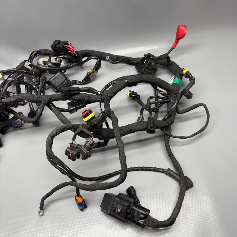 BMW G310R US MAIN ENGINE WIRE HARNESS 2016 2017 2018 2019 2020 OEM 835