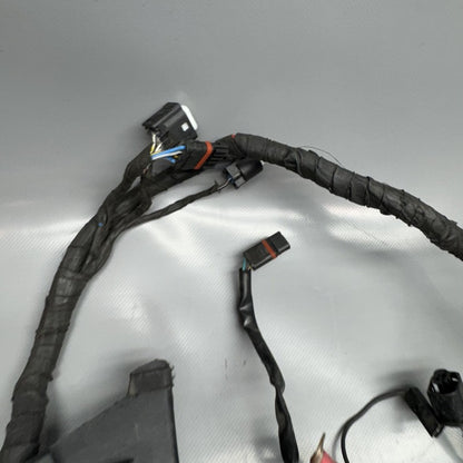 R1200GS BMW R1200GS MAIN ENGINE WIRE HARNESS 2009 2010 2011 2012 OEM