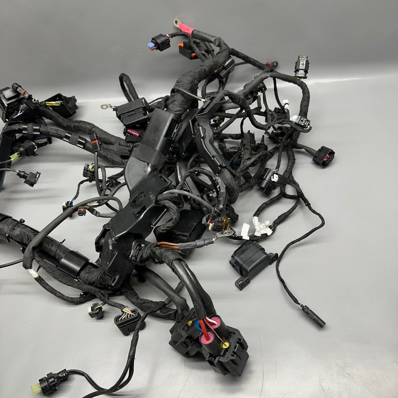 S1000R BMW S1000R MAIN ENGINE HARNESS 2020 2021 2022 2023 2024 2025 OEM