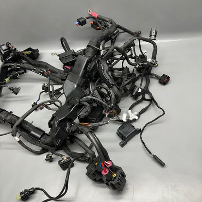 S1000R BMW S1000R MAIN ENGINE HARNESS 2020 2021 2022 2023 2024 2025 OEM