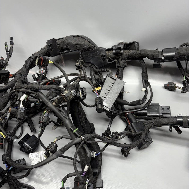 7105048 BMW M1000R MAIN WIRING HARNESS 2021 2022 2023 2024 OEM 7105048