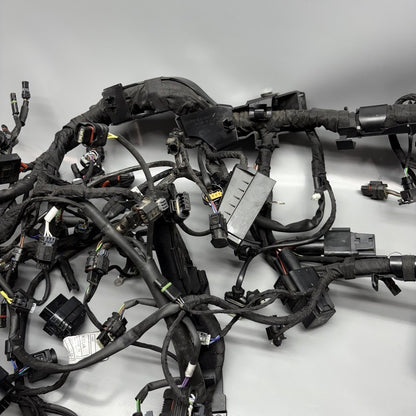 7105048 BMW M1000R MAIN WIRING HARNESS 2021 2022 2023 2024 OEM 7105048