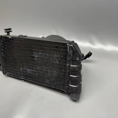 BMW K 1200LT RADIATOR 2005 2006 2007 2008 OEM 1465158